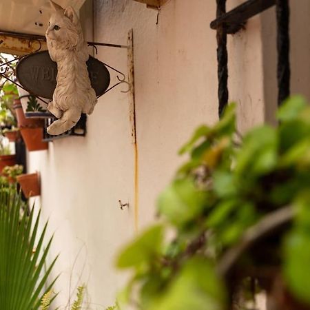 El Patio De La Vina By Gades Gestion Apartment Cadiz Ngoại thất bức ảnh